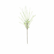 Kalalou - CLX3366 - Botanica - White