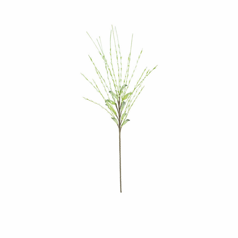 Kalalou - CLX3366 - Botanica - White