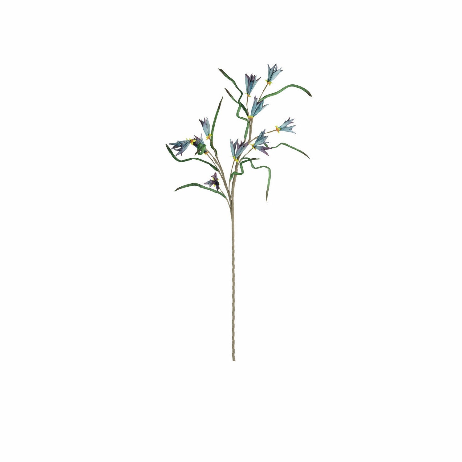 Kalalou - CLX3384 - Botanica - Blue