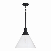 Capital Lighting - 350311XK - One Light Pendant - Paloma - Textured Black