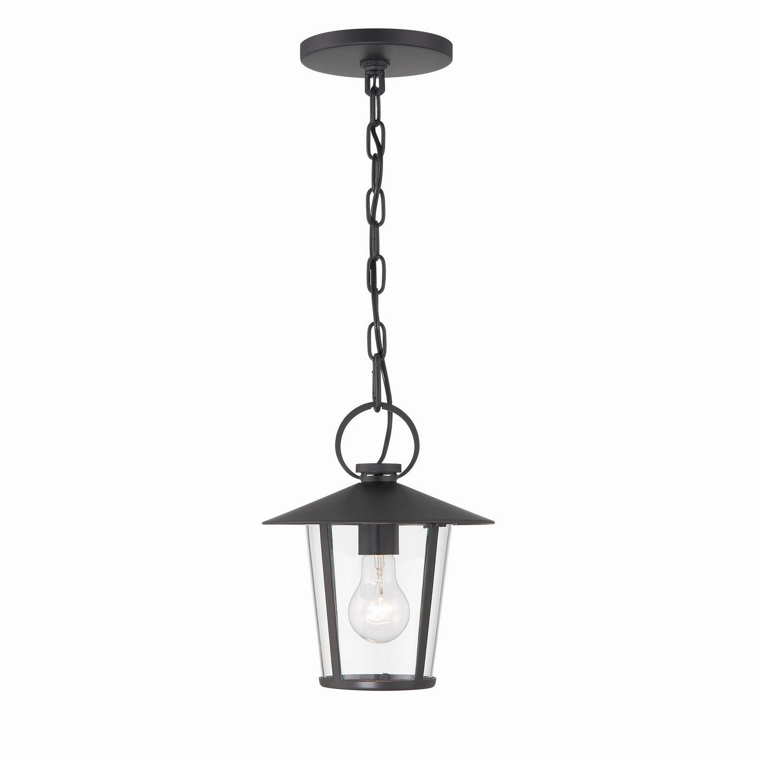 Crystorama - AND-9203-CL-MK - One Light Outdoor Chandelier - Andover - Matte Black