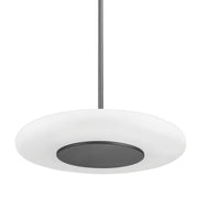 Hudson Valley - PI1896701L-BLNK - LED Pendant - Blyford - Black Nickel