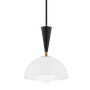 Troy Lighting - F1512-PBR/SBK - One Light Pendant - Payson - Patina Brass