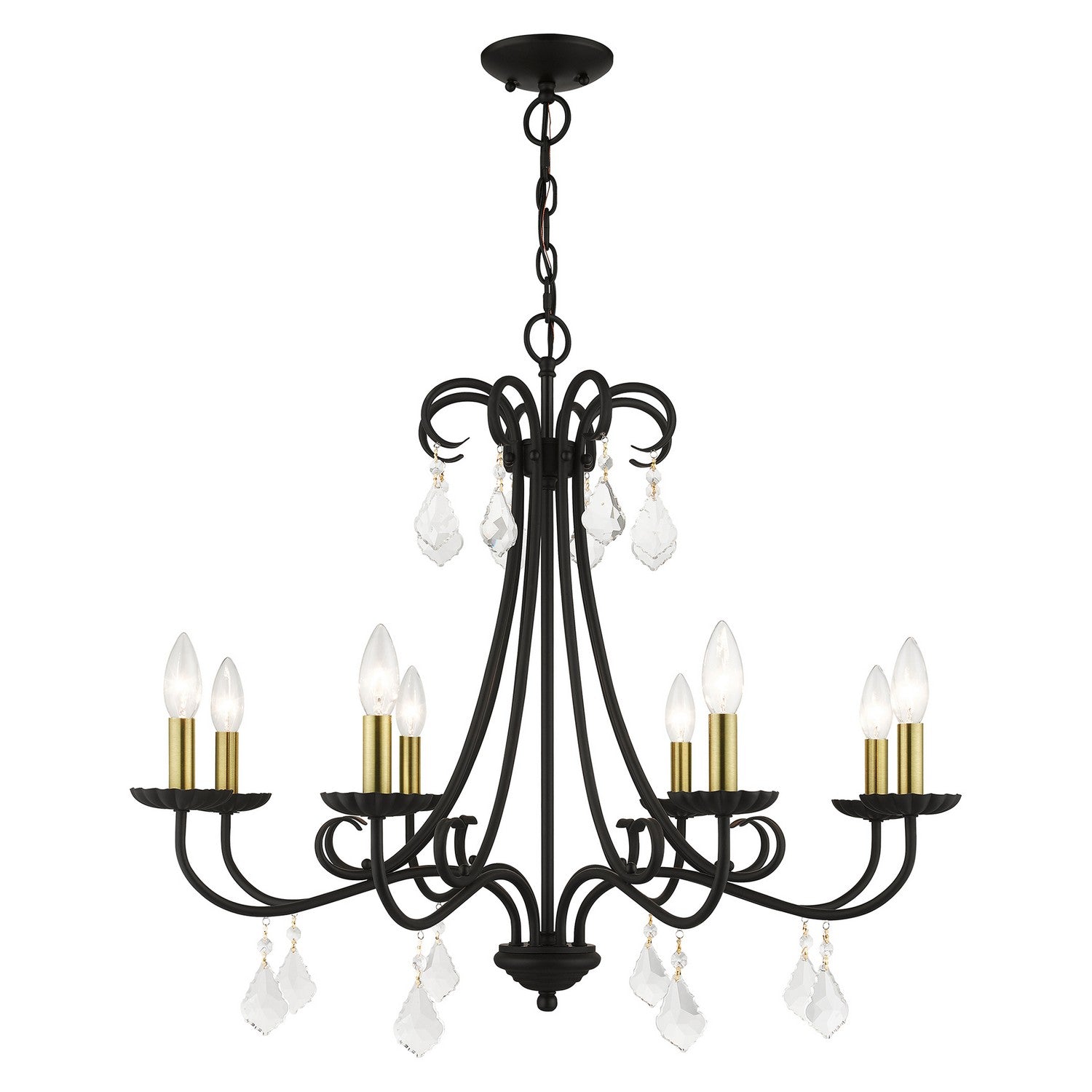 Livex Lighting - 40878-04 - Eight Light Chandelier - Daphne - Black with Antique Brass