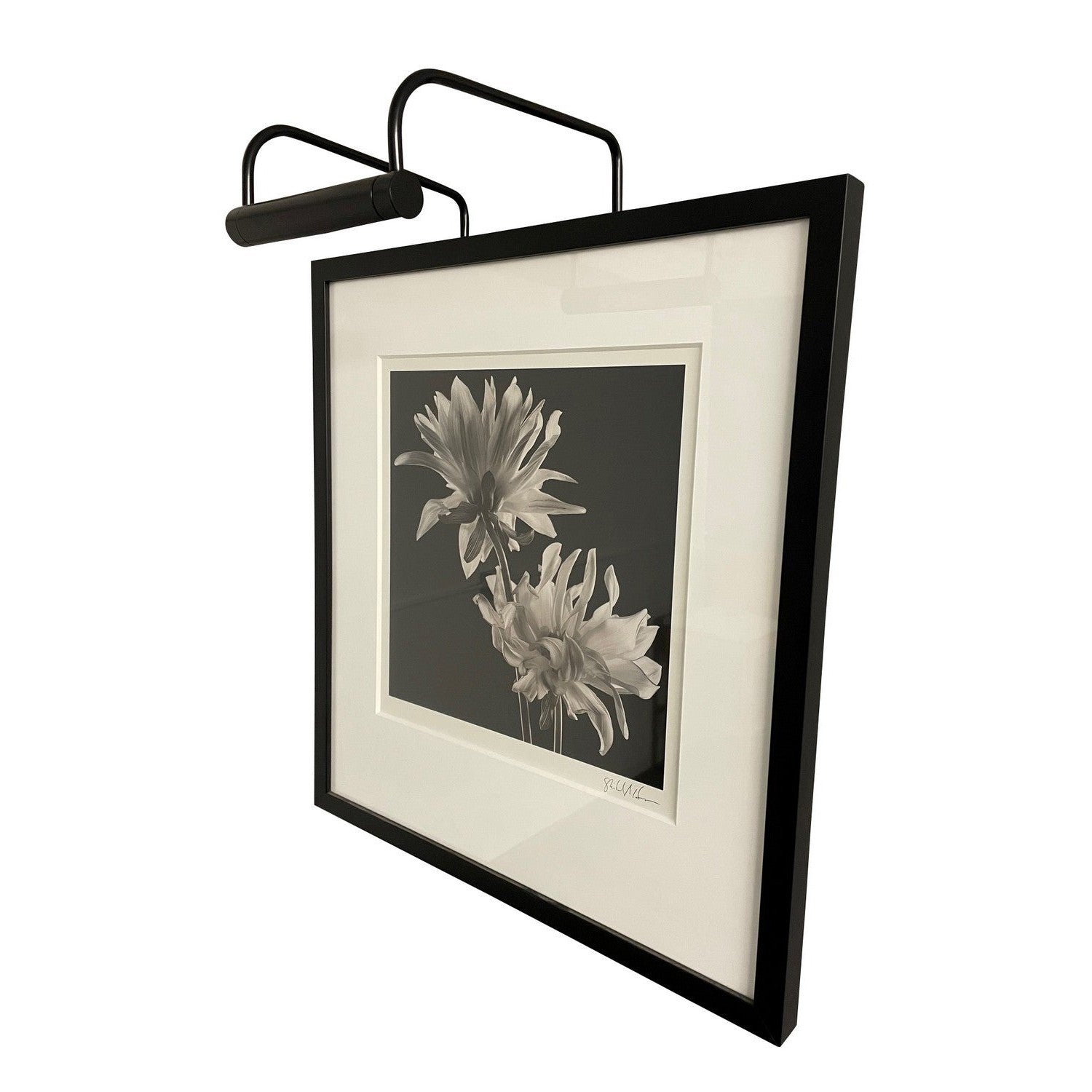 House of Troy - SL6-7 - One Light Picture Light - Slim-line - Black