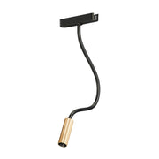 ET2 - ETL21216-BKGLD - LED Track Light - Continuum - Track - Black / Gold