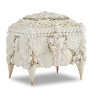 Currey and Company - 1200-0612 - Jewelry Box - Boardwalk Collection - Natural