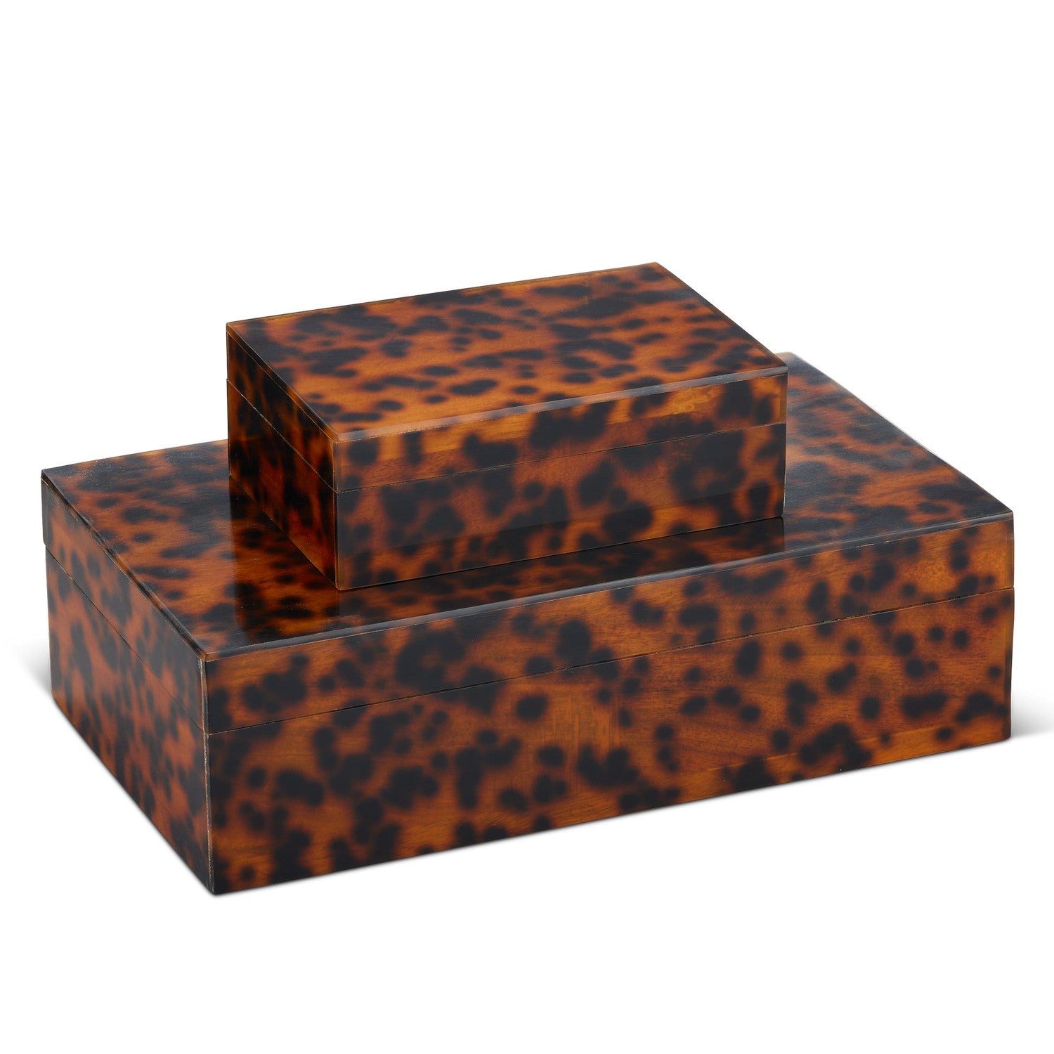 Currey and Company - 1200-0737 - Box Set of 2 - Faux Tortoise Box Set of 2 - Brown/Black