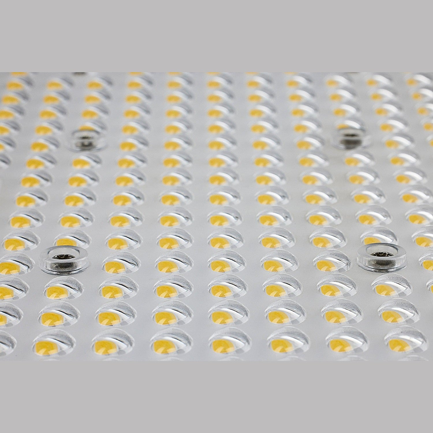 Nuvo Lighting - 65-848-5 - LED Area Light - Bronze