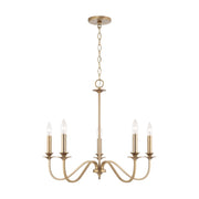 Capital Lighting - AA1023MA - Five Light Chandelier - Weston - Matte Brass