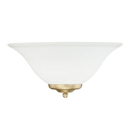 Golden - 8355 BCB - One Light Wall Sconce - Multi-Family - Brushed Champagne Bronze