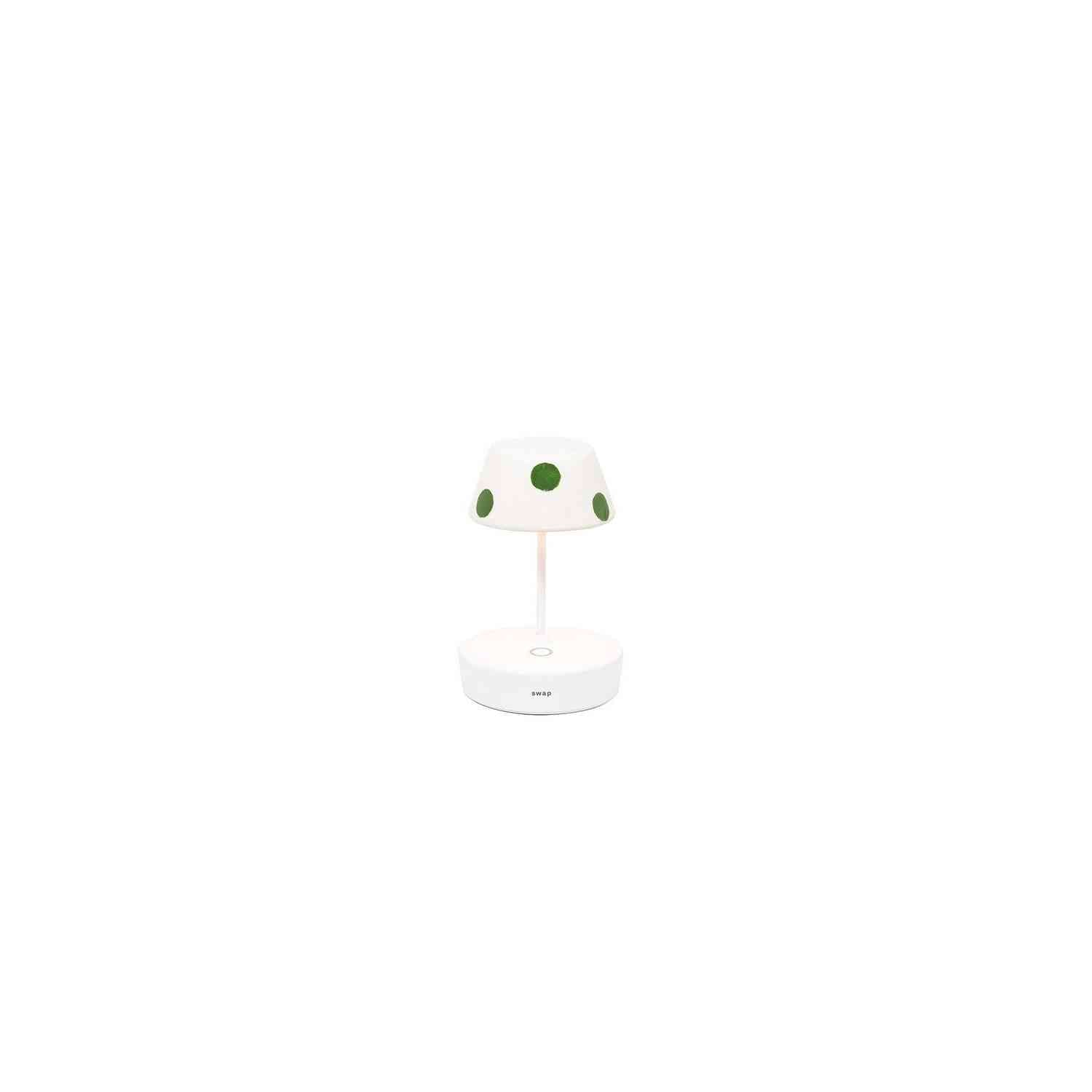 Zafferano - SDZA-1011-05 - Shades - Swap - Green Dots