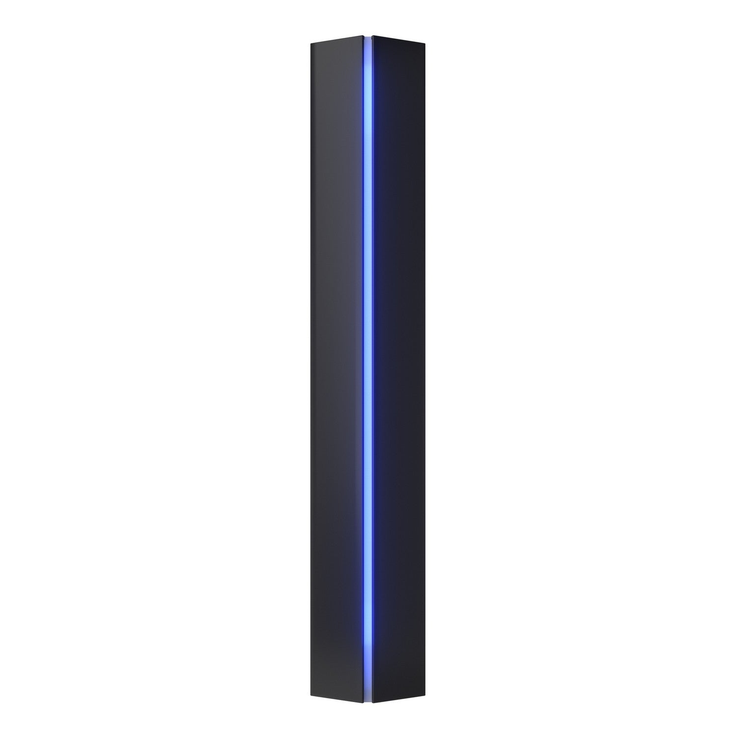 Hubbardton Forge - 217650-SKT-10-EE0202 - Three Light Wall Sconce - Gallery - Black