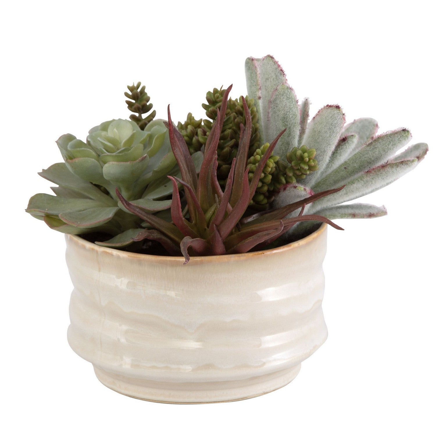 Uttermost - 60209 - Succulent Accent - Mesa Succulent - Textured Tan