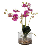 Uttermost - 60220 - Orchid - Glory Orchid - Fuchsia