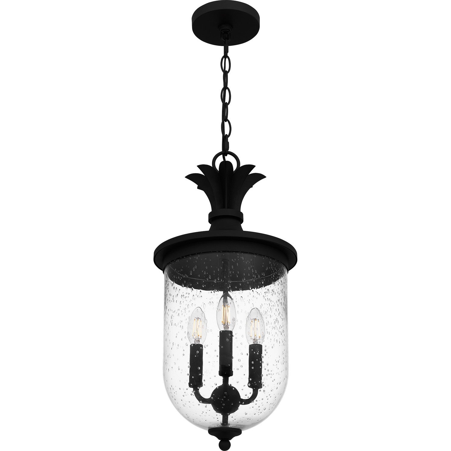 Quoizel - HVN1910EK - Three Light Outdoor Hanging Lantern - Havana - Earth Black