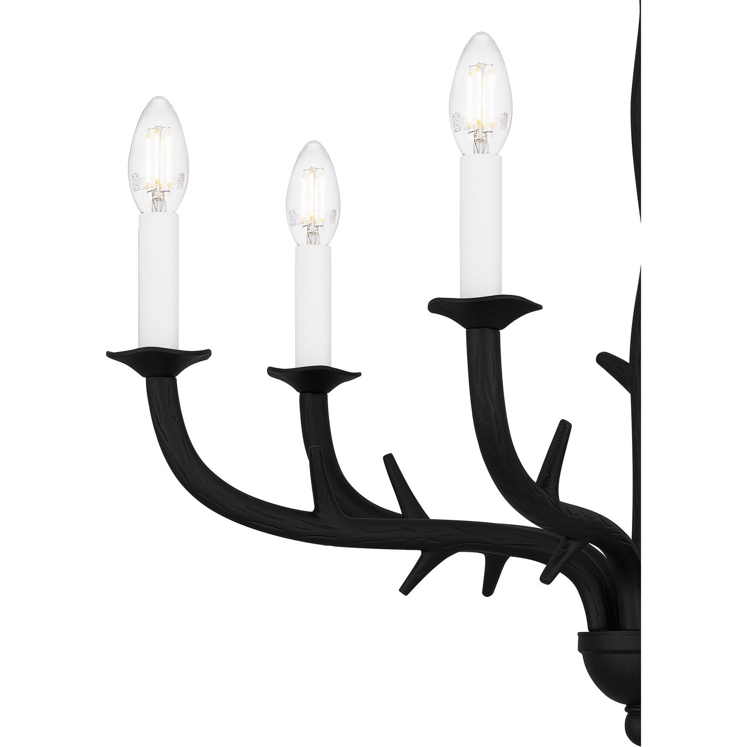 Quoizel - OAK5025EK - Six Light Chandelier - Oakley - Earth Black