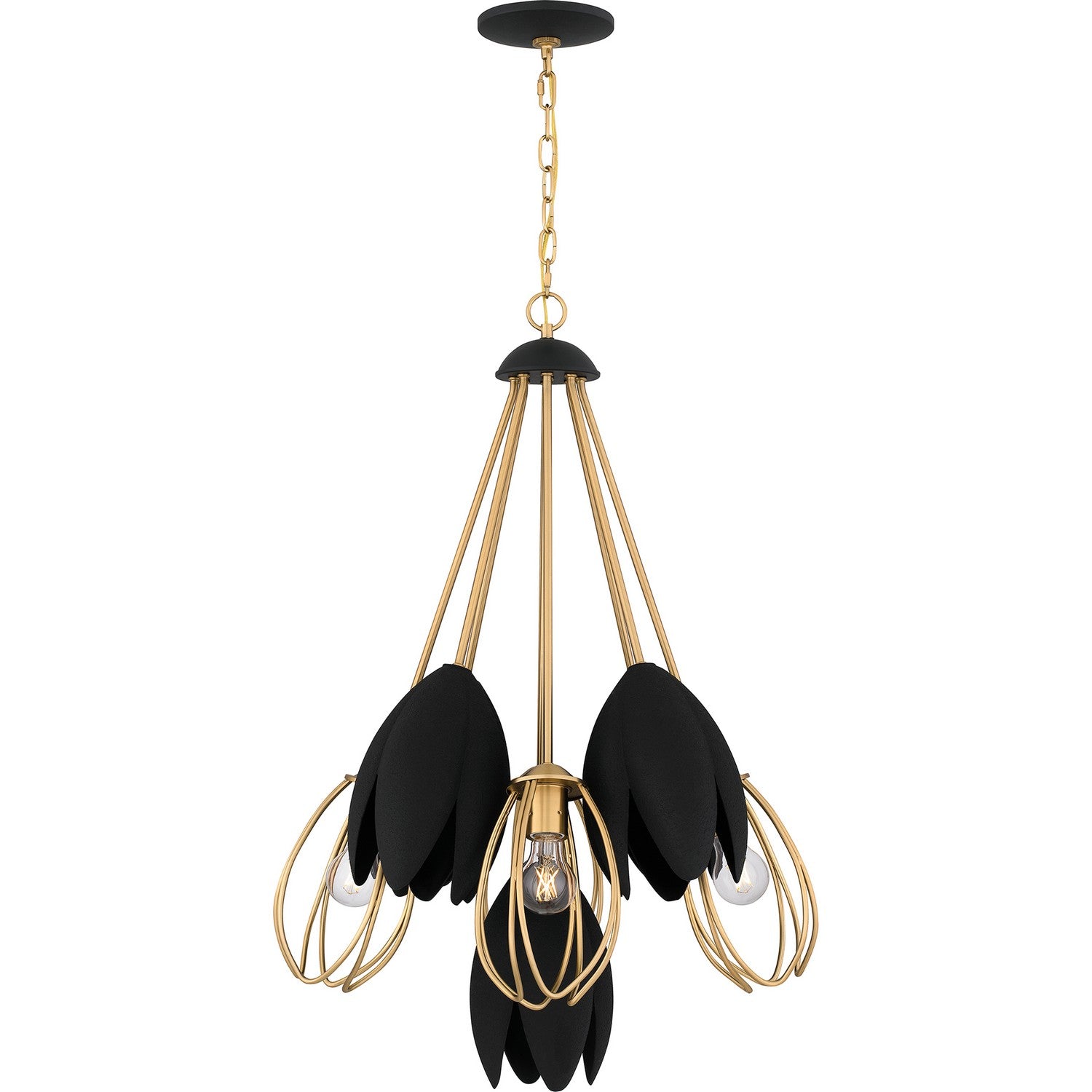 Quoizel - QP6214BWS - Four Light Pendant - Quoizel Pendant - Brushed Weathered Brass