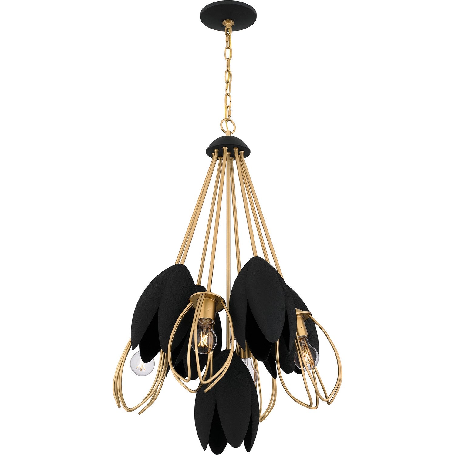 Quoizel - QP6214BWS - Four Light Pendant - Quoizel Pendant - Brushed Weathered Brass