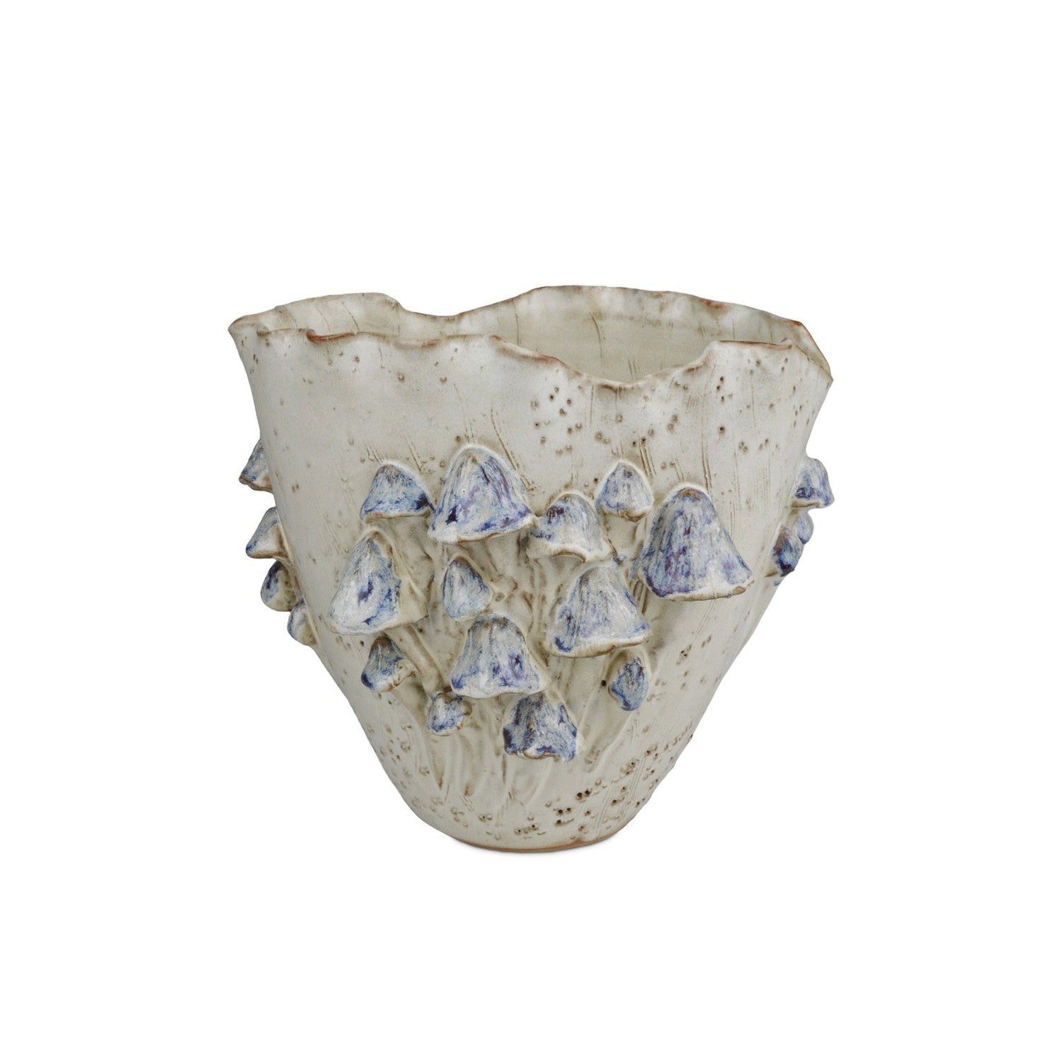 Currey and Company - 1200-0826 - Vase - Black Forest Mushrooms Collection - Cream/Reactive Blue