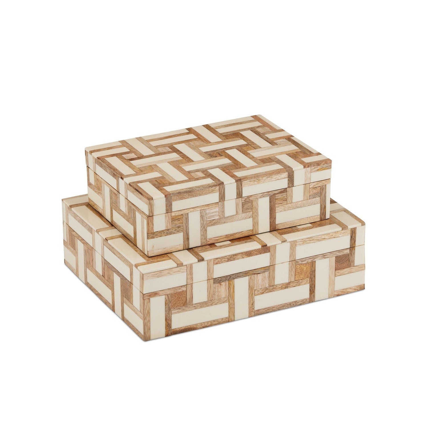 Currey and Company - 1200-0899 - Box Set of 2 - Aarna Collection - Natural/Ivory