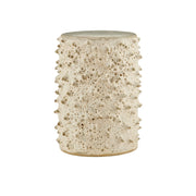 Currey and Company - 3000-0288 - Accent Table - Relic Accent Table - Ivory White Moss