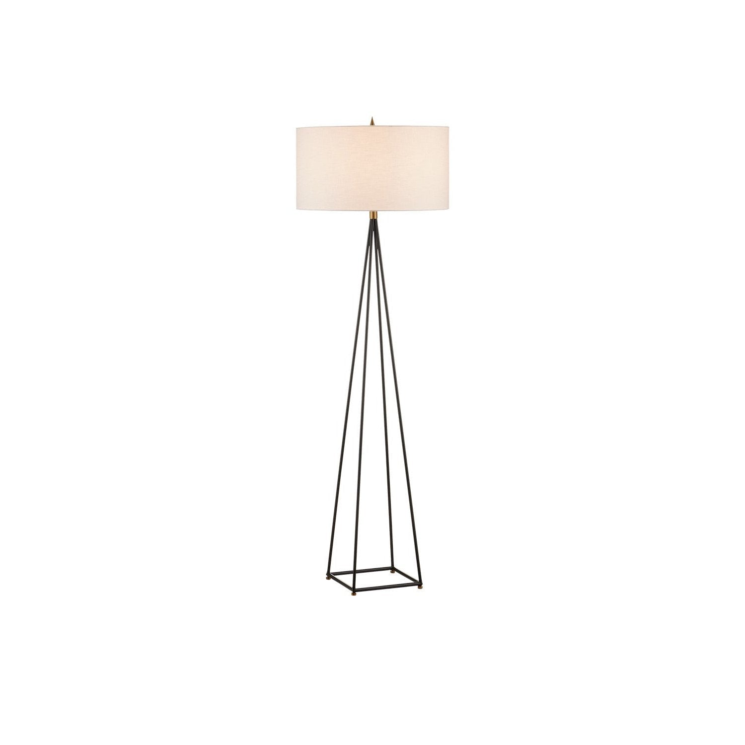 Currey and Company - 8000-0146 - One Light Floor Lamp - Fiction Floor Lamp - Bronze/Antique Brass