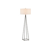 Currey and Company - 8000-0146 - One Light Floor Lamp - Fiction Floor Lamp - Bronze/Antique Brass