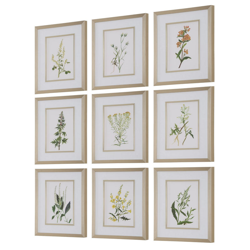 Uttermost - 32339 - Framed Prints, S/9 - Botanical Flowers - Champagne Gold