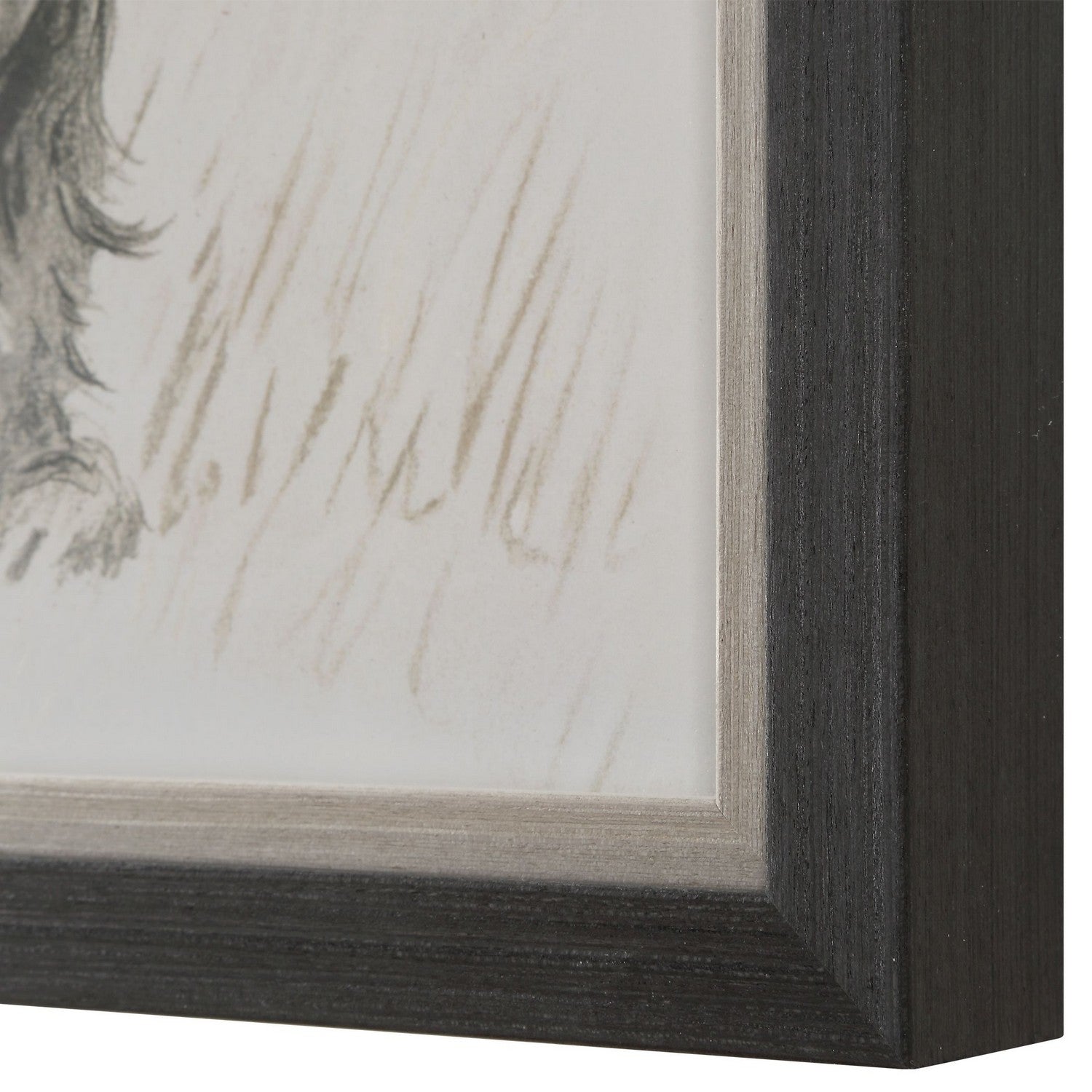 Uttermost - 32344 - Wall Art - Loyal Companion - Black Wood