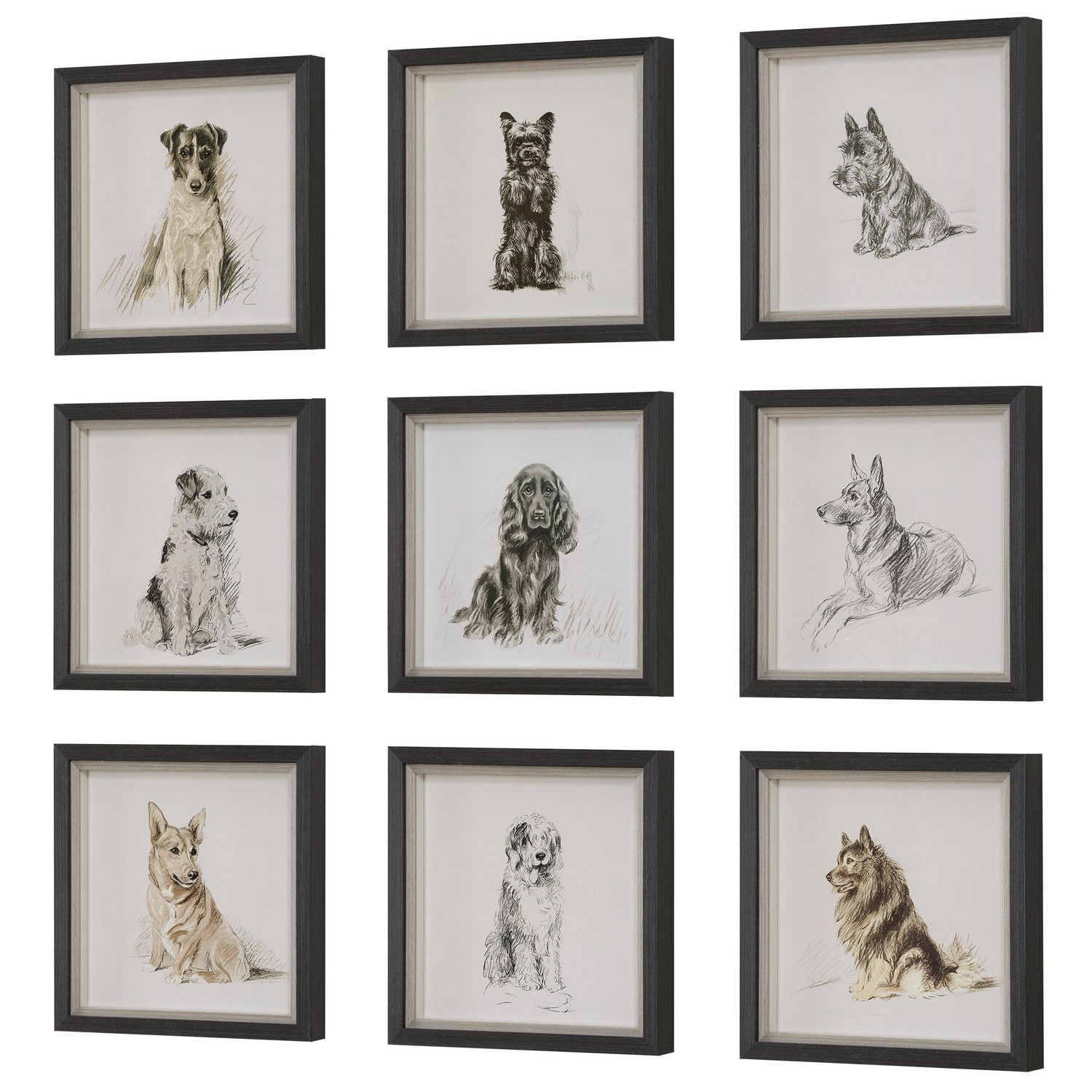 Uttermost - 32344 - Wall Art - Loyal Companion - Black Wood