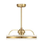 Savoy House - 24-FD-555-322 - LED Fan D'Lier - Corona - Warm Brass