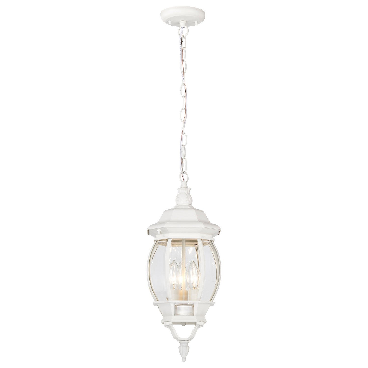 Nuvo Lighting - 60-894 - Three Light Hangng Lantern - Central Park - White