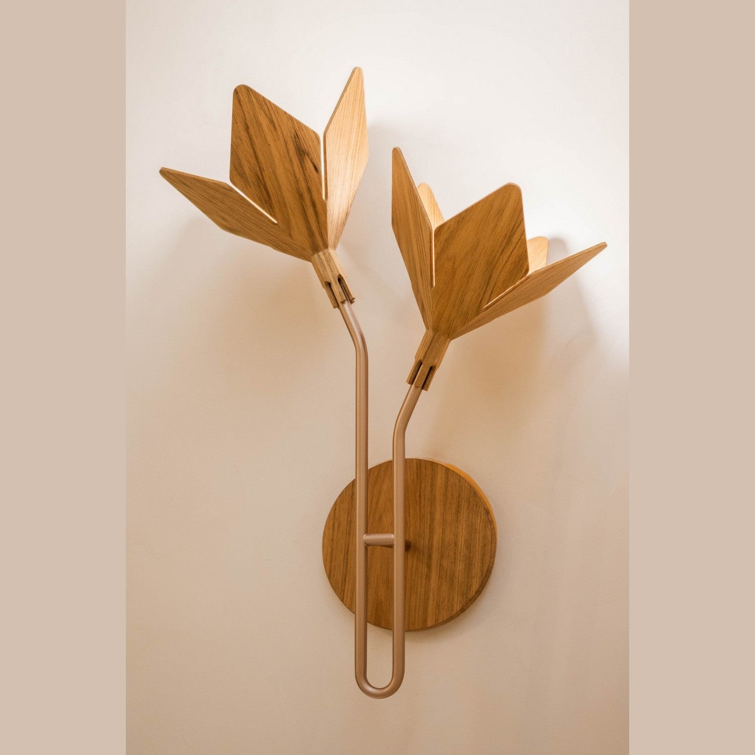 Accord Lighting - 4135.49 - One Light Wall Lamp - Sakura - Organic Gold