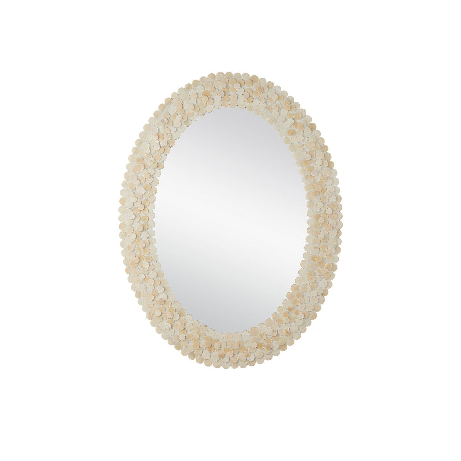 Currey and Company - 1000-0159 - Mirror - Merriam - Natural