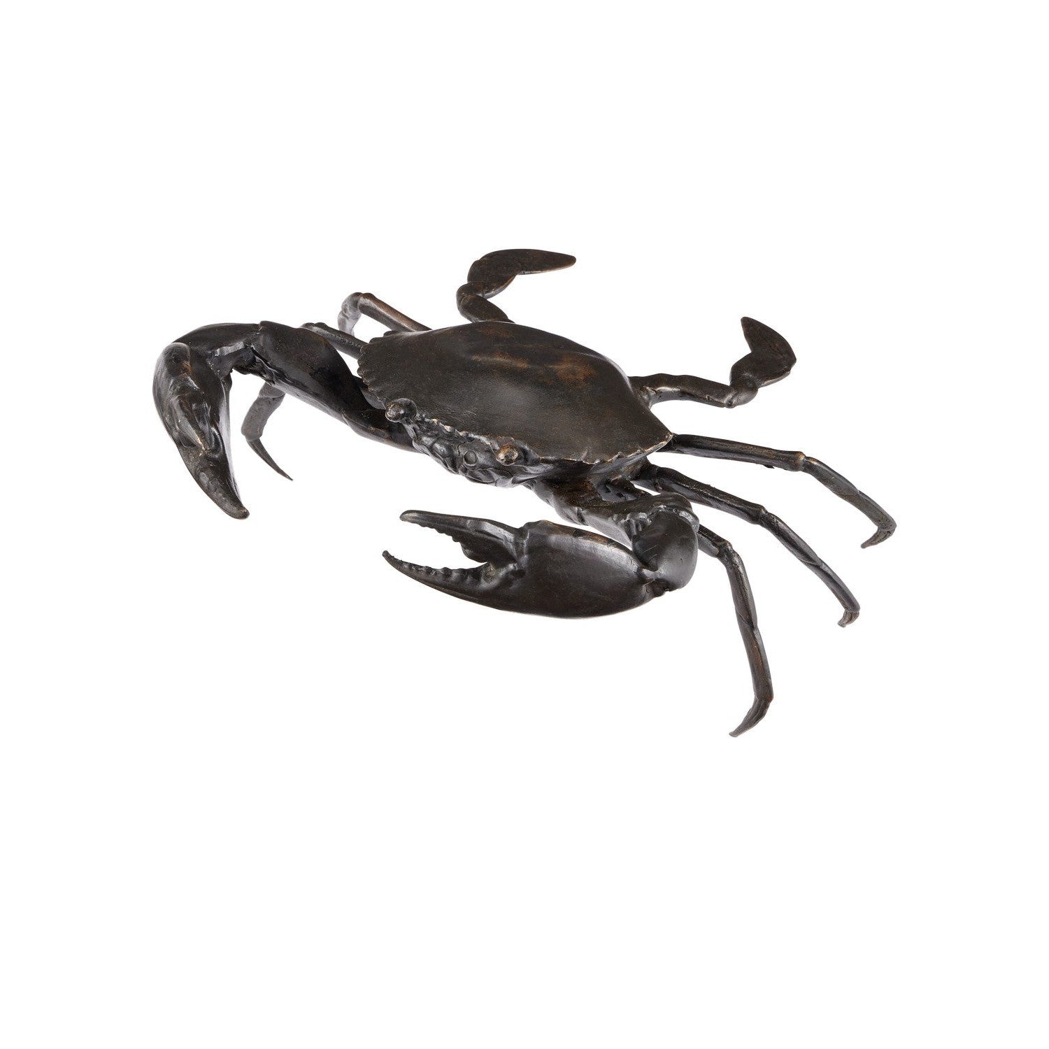 Currey and Company - 1200-0957 - Crab - Crab Bronze - Dark Brown