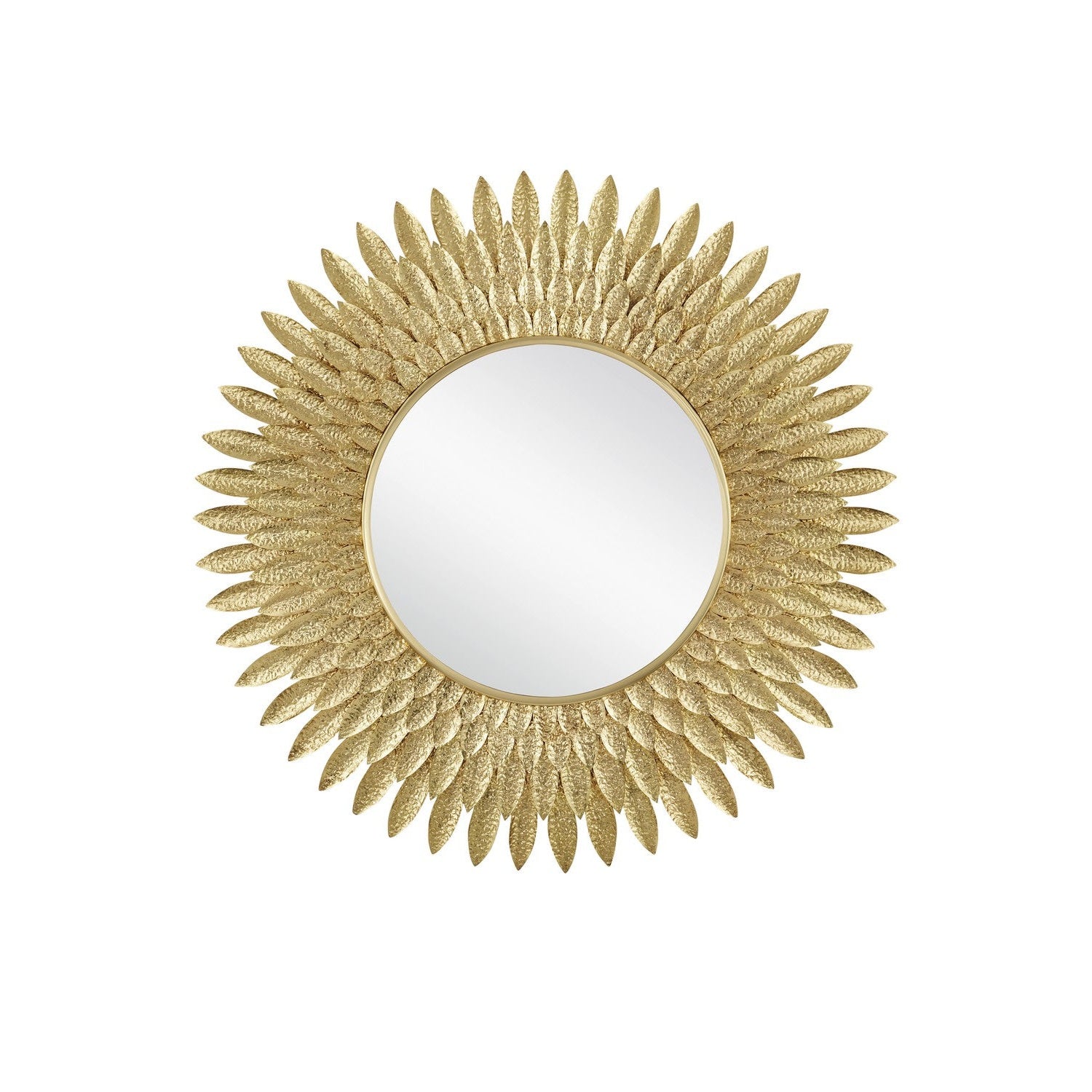 Currey and Company - 1000-0160 - Mirror - Plume - Brass