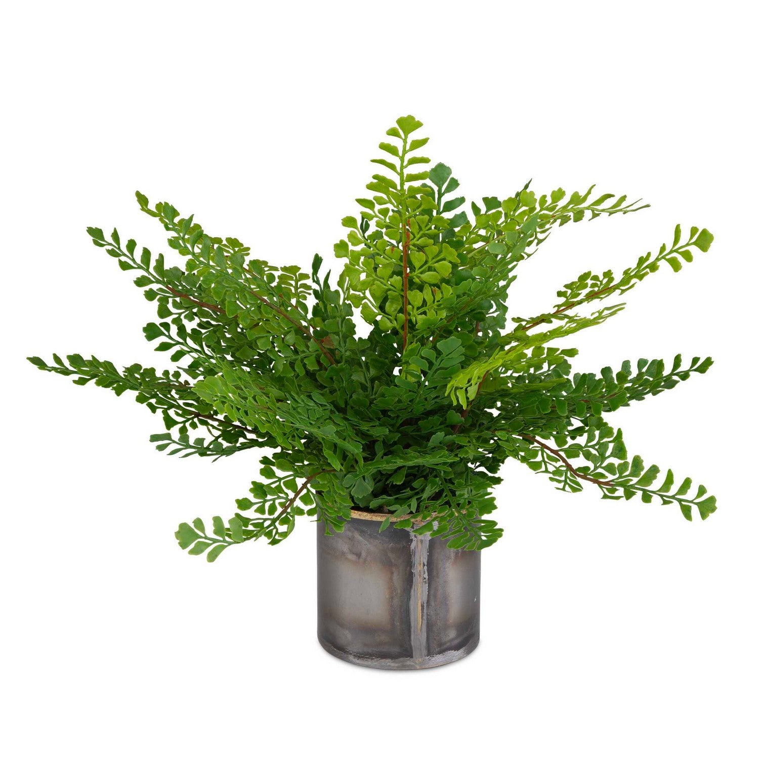 Uttermost - 60237 - Container - Maidenhair Fern - Gold