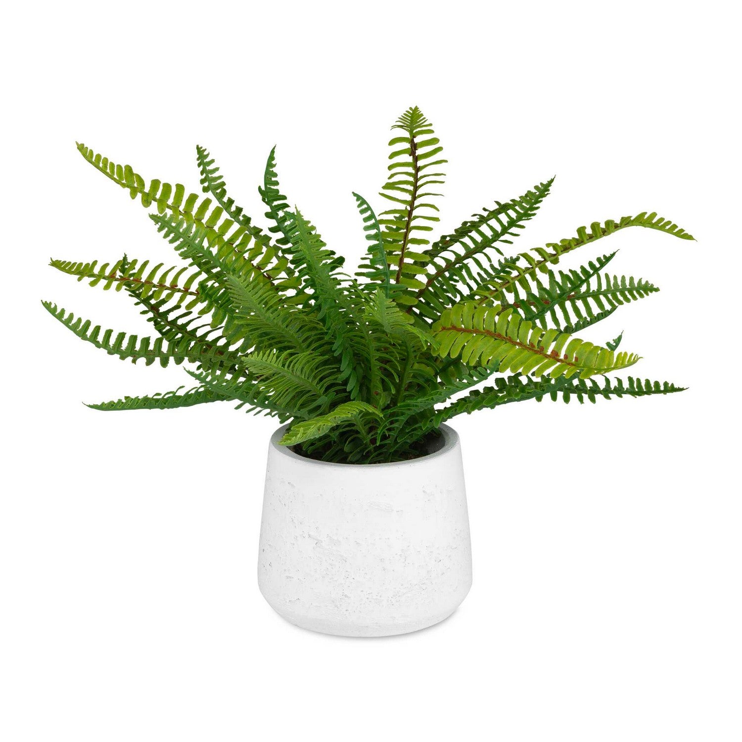 Uttermost - 60238 - Ceramic Pot - Boston Fern - White