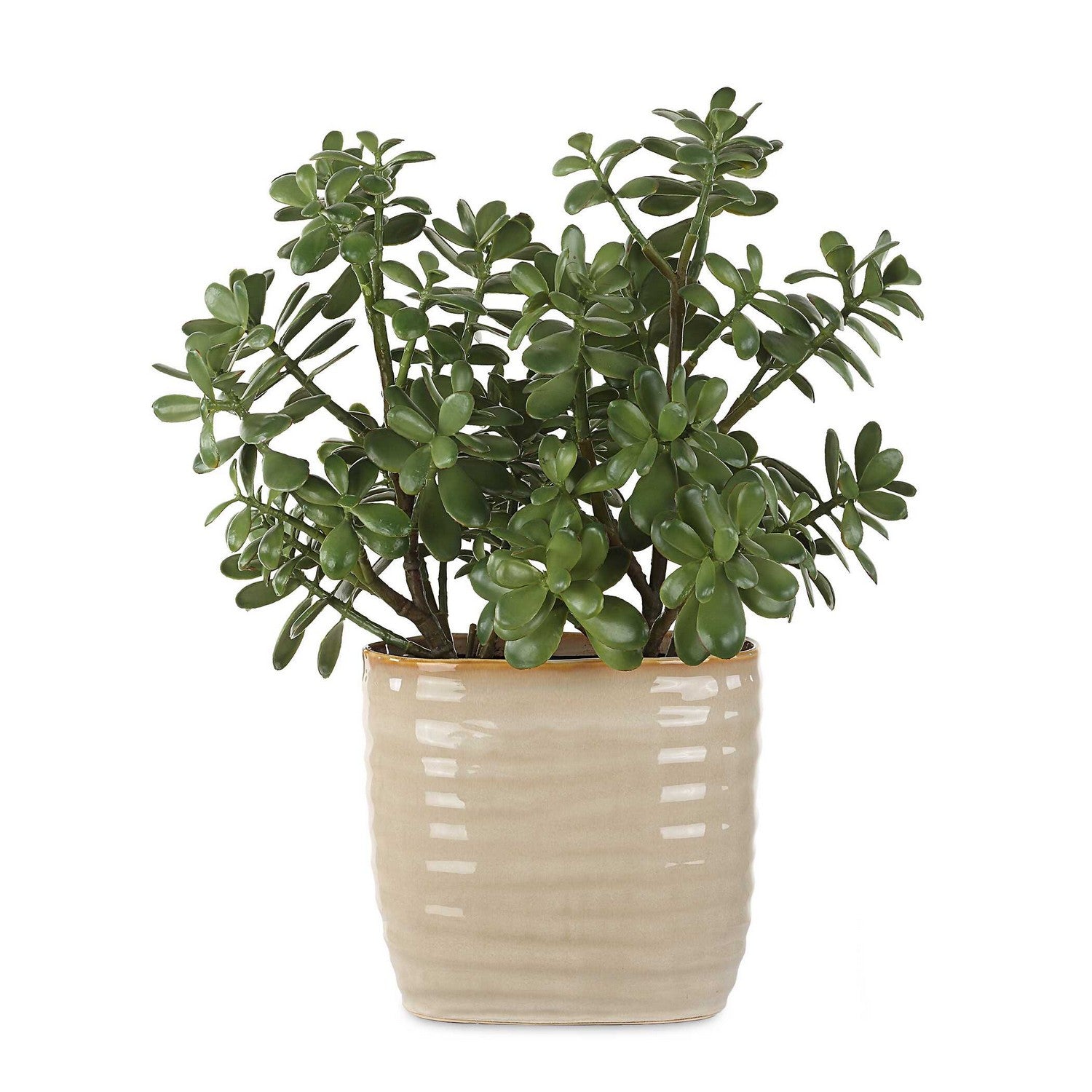 Uttermost - 60226 - Accent Plant - Crassula Jade - Textured Tan