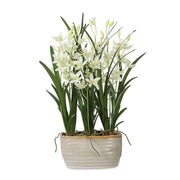 Uttermost - 60227 - Planter - Ariana Orchid - Cream