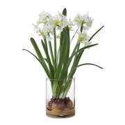 Uttermost - 60228 - Accent Arrangement - Lacey Daffodil - Paperwhite