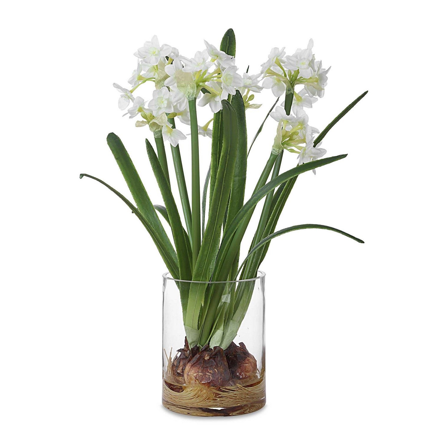 Uttermost - 60228 - Accent Arrangement - Lacey Daffodil - Paperwhite
