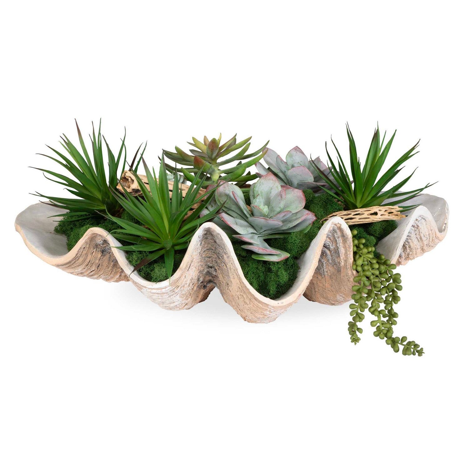 Uttermost - 60233 - Succulents - Seaside Breeze - Natural