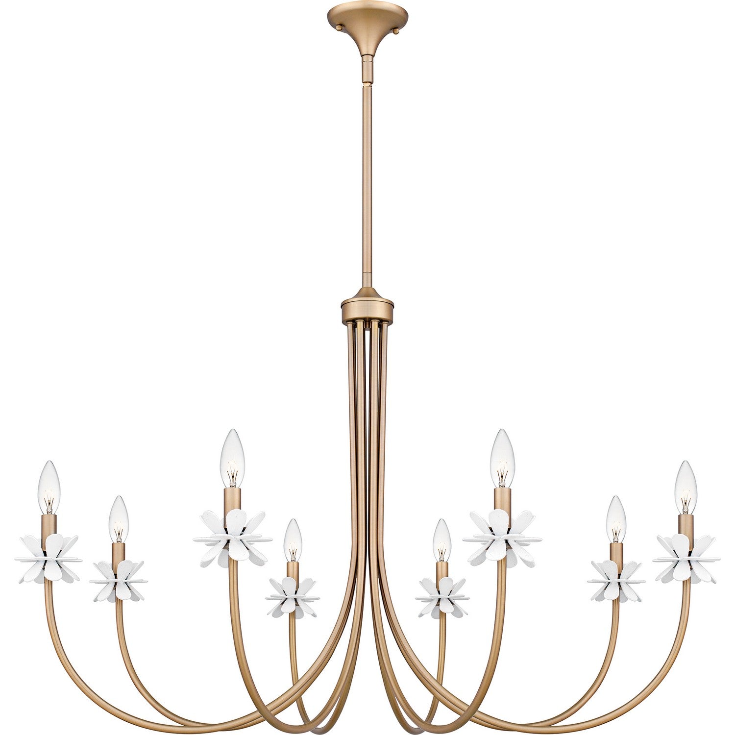 Quoizel - REY5042BGD - Eight Light Chandelier - Remy - Bronze Gold