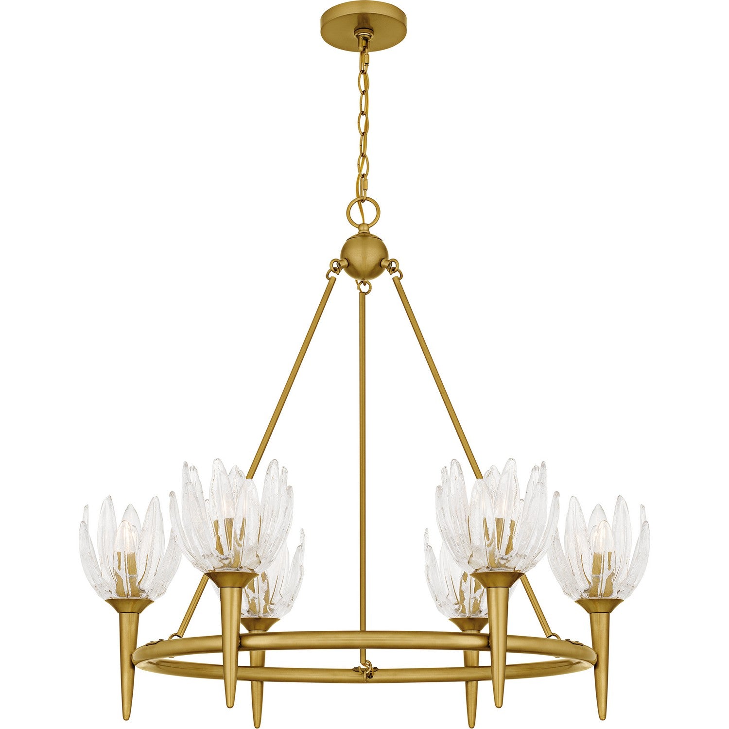 Quoizel - SHA5032BRG - Six Light Chandelier - Shea - Brushed Gold