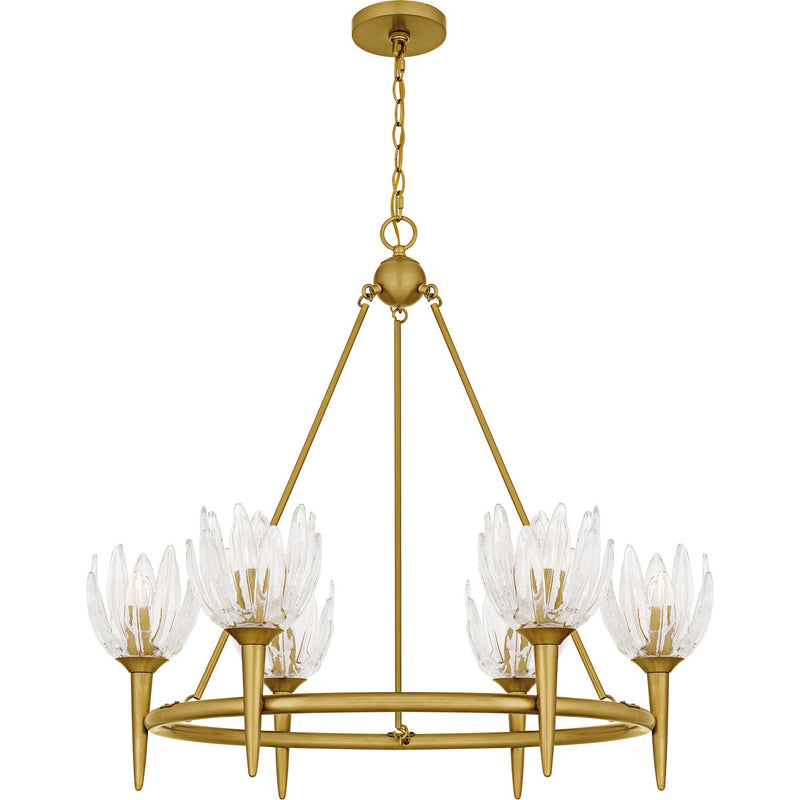 Quoizel - SHA5032BRG - Six Light Chandelier - Shea - Brushed Gold