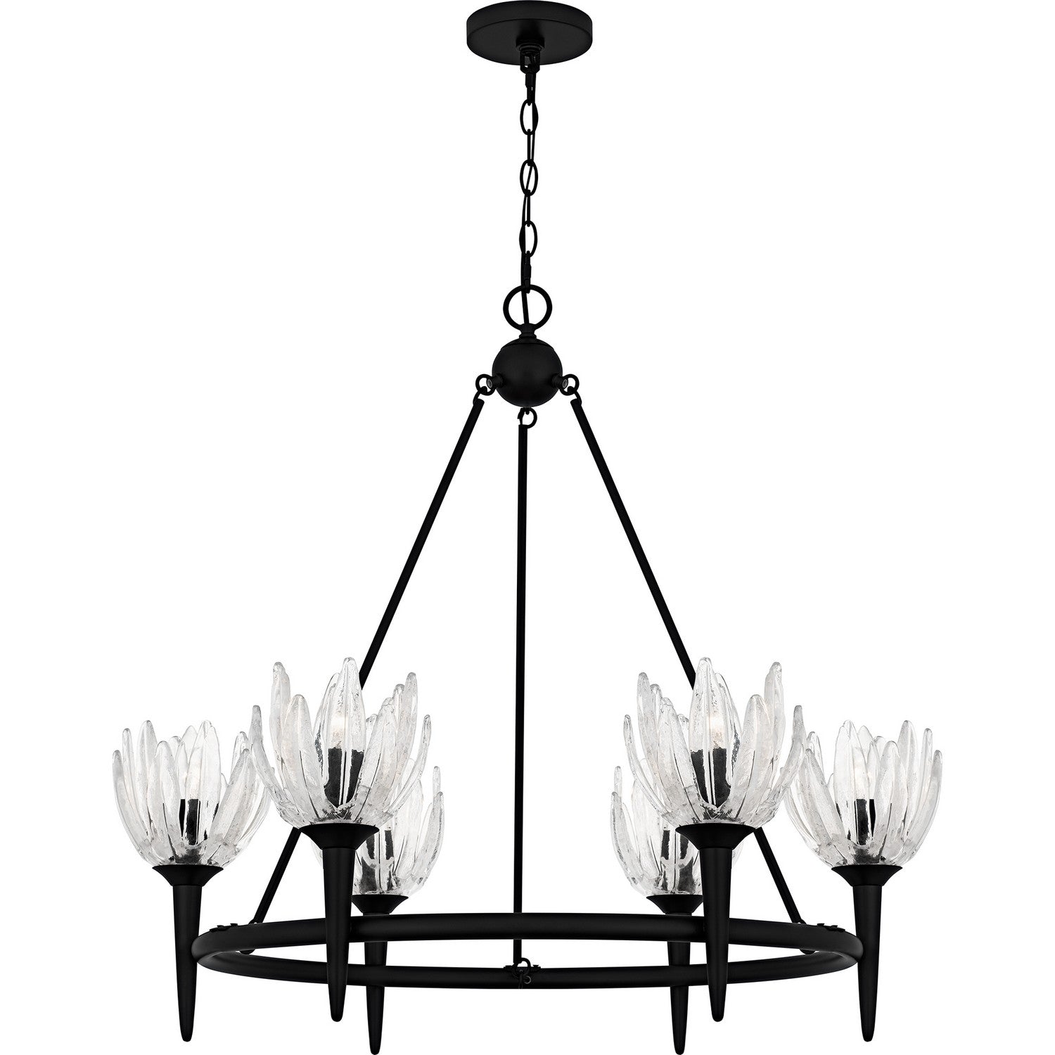 Quoizel - SHA5032MBK - Six Light Chandelier - Shea - Matte Black