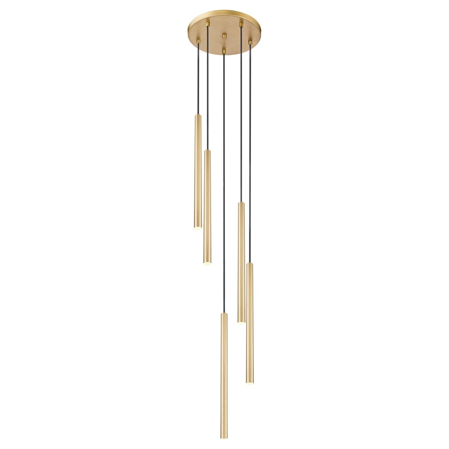 Z-Lite - 919MP24-5R-MGLD-LED - LED Chandelier - Forest - Modern Gold