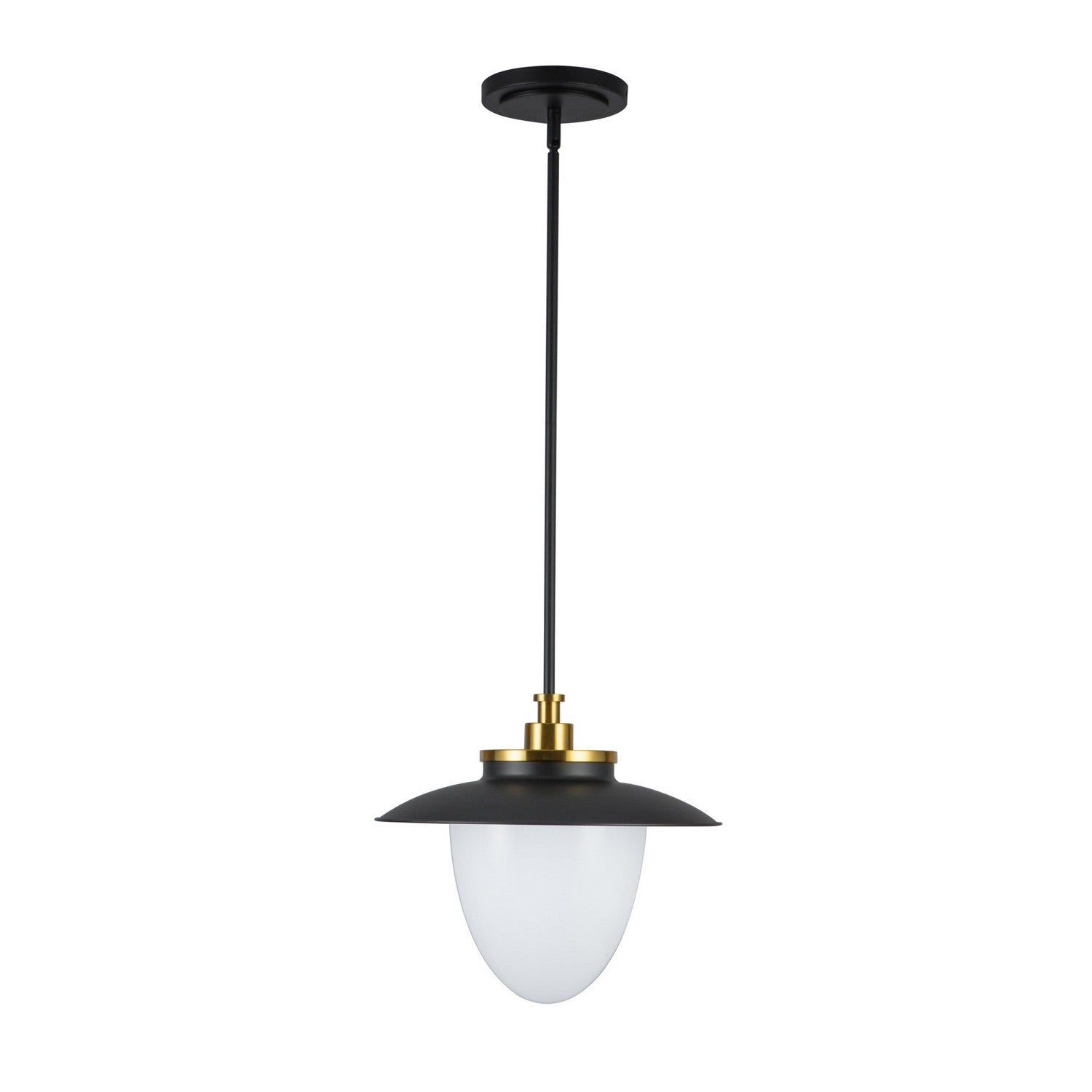 Artcraft - AC11905BB - One Light Pendant - Dahlia - Black